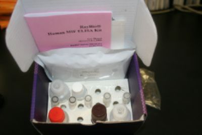 科研大鼠可溶性细胞间粘附分子1(sICAM-1)ELISA试剂盒