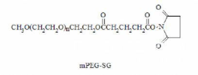 mPEG-Succinimidyl Glutarate,甲氧基聚乙二醇-琥珀酰亚胺戊二酸酯,MPEG-SG