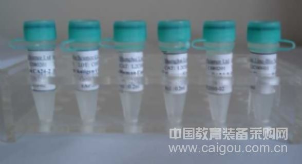 GOLD*小鼠抗赭曲霉素/Monoclonal Mouse Anti - ochratoxin *GOLD