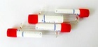 Hyclone胎牛血清( 产地:澳洲血源货号:SH30084.03