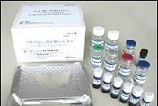 代测兔血管内皮细胞生长因子(VEGF)ELISA试剂盒价格
