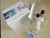 代测兔子巨噬细胞炎性蛋白5(MIP-5)ELISA试剂盒价格