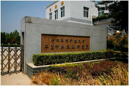 旱区节水有妙招 看