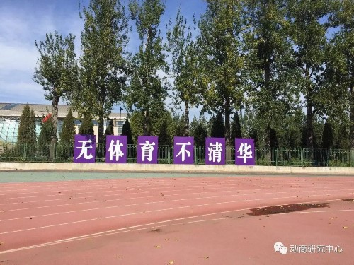 清华体育，为何独树一帜