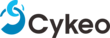 深圳市斯科信息技術有限公司