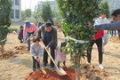 江西科技师范大学领导参加2022年义务植树活动