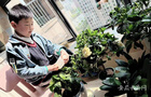 安徽蕪湖市50.8萬名中小學生有序開展線上教學 智慧課堂無縫對接