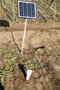 土壤水分速测仪助力草药种植