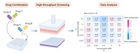 高通量筛选技术加速联合用药研究 | MCE