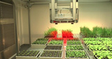 PlantScreen高通量植物表型成像分析系统（XYZ三维成像版）