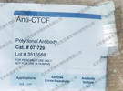 Merck millipore Anti-CTCF Antibody 07-729
