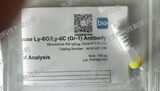 R&D/安迪生物 mGr-1 MAb (Cl RB6-8C (100 ug) MAB1037-100