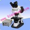显微镜  型号：SC-XSP-BM21AY
