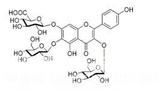 6-羟基山奈酚-3,6-二-O-葡萄糖-7-葡萄糖醛酸苷