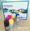 Gly,进口小鼠甘氨酸ELISA试剂盒免费代测