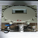 亚欧 在线防式露点仪，在线露点仪 ?DP-300EX 测量范围：-100.0～20.0℃