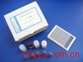 (OT/BGP)猪骨钙素/骨谷氨酸蛋白Elisa试剂盒