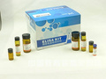 小鼠胶原酶I(Collagenase I)ELISA试剂盒