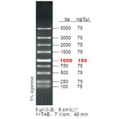 dna marker ds5000