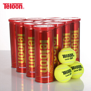 天龙（Teloon） LUXQ1 专业比赛级网球 毛布厚实内胆好（1箱/24听/3只）