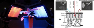 FluorCam移动式植物多光谱荧光成像系统