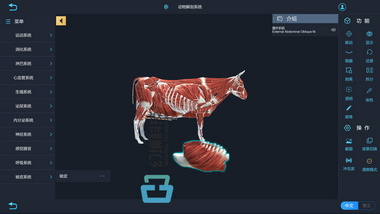vr动物解剖软件 虚拟仿真教学软件
