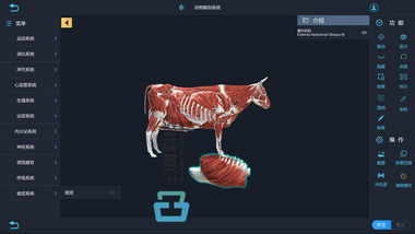 幻境科技VR虚拟现实动物解剖vr软件 畜牧养殖VR虚拟