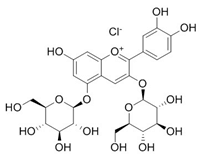 氯化矢车菊素-3,5-O-双葡萄糖苷 2611-67-8