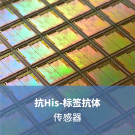 LifeDisc 抗His-标签生物传感器
