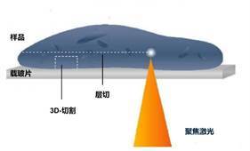 双光子3D组织切割成像系统