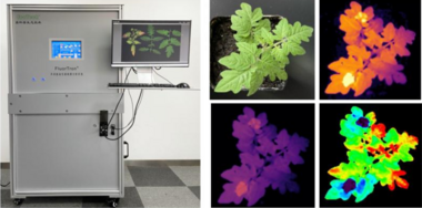 易科泰植物表型成像技术-农药开发与应用