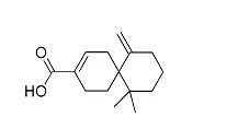 花柏烯酸，β-花柏烯酸，β-chamigrenic acid 1174388-31-8