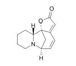 别一叶萩碱