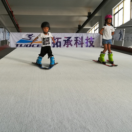 健身房滑雪机 冰雪运动体验设备 广东健身房室内滑雪机厂家