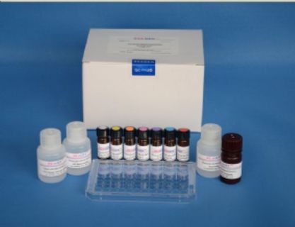 人游离β绒毛膜促性腺激素(f-βhCG)ELISA试剂盒