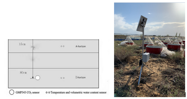 SCG-N土壤CO2剖面监测仪在蜥蜴研究方面的应用