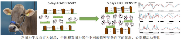 易科泰牦牛能量代谢测量系统落户青海师范大学