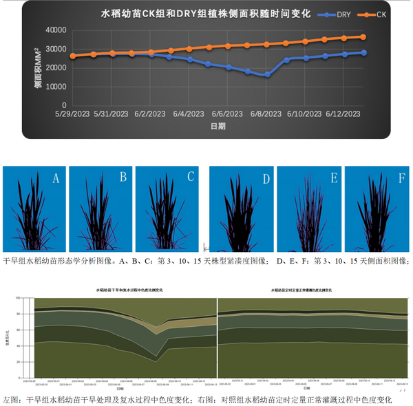PlantScreen 高通量植物表型分析平台在中国水稻研究所安装运行