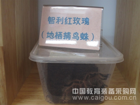 大成潤智走進教育裝備展