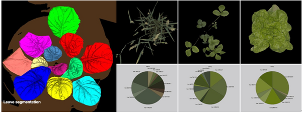 PSI PlantScreen 3D高通量表型平台 在瓦赫宁根大学植物生态表型中心安装运行