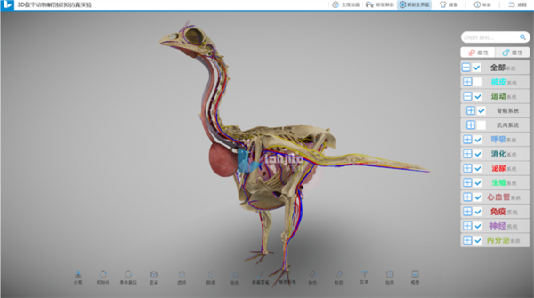 3D数字动物解剖实训系统，谱写动物解剖教学新篇章