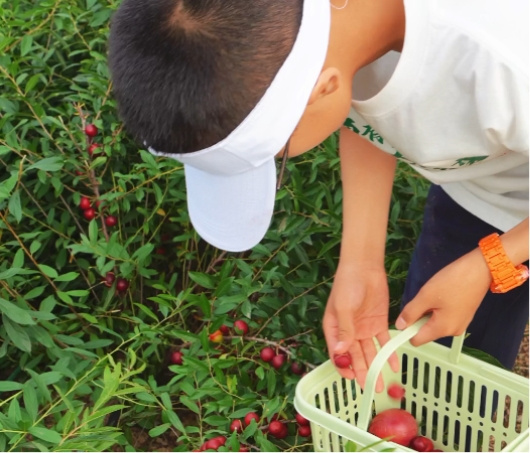 科教興國 筑夢未來|跨越山海，富氧研學之旅圓滿完成！