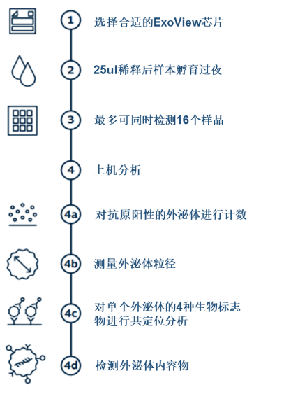 全新外泌體內容物檢測技術助力治療嬰兒早產藥物研發取得重要進展