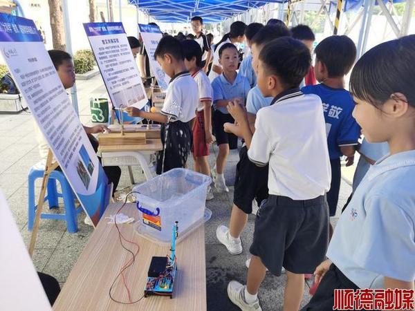 小小科学家大展身手！科技运动会很精彩