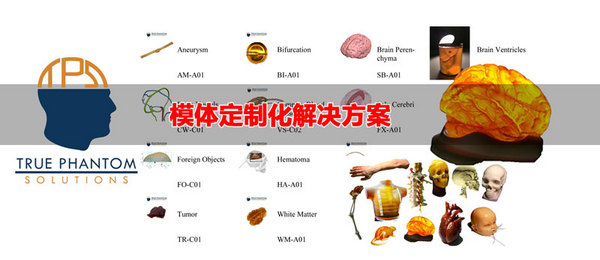 為爾康科技：模體定制化解決方案