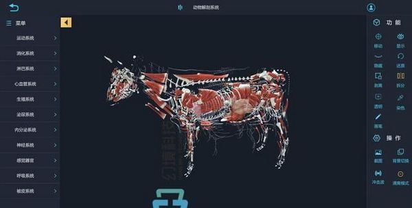 動物解剖虛擬仿真教學軟件：VR不僅是娛樂,還是強大的教學工具