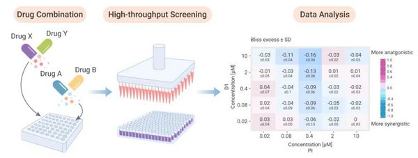 高通量篩選技術加速聯合用藥研究 | MCE
