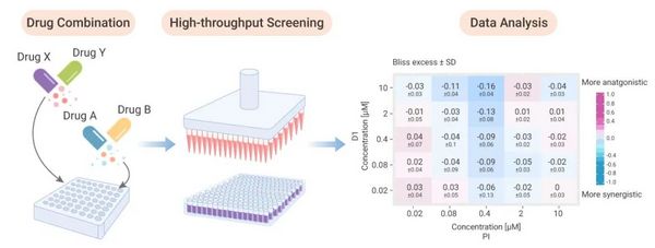 高通量筛选技术加速联合用药研究 | MCE