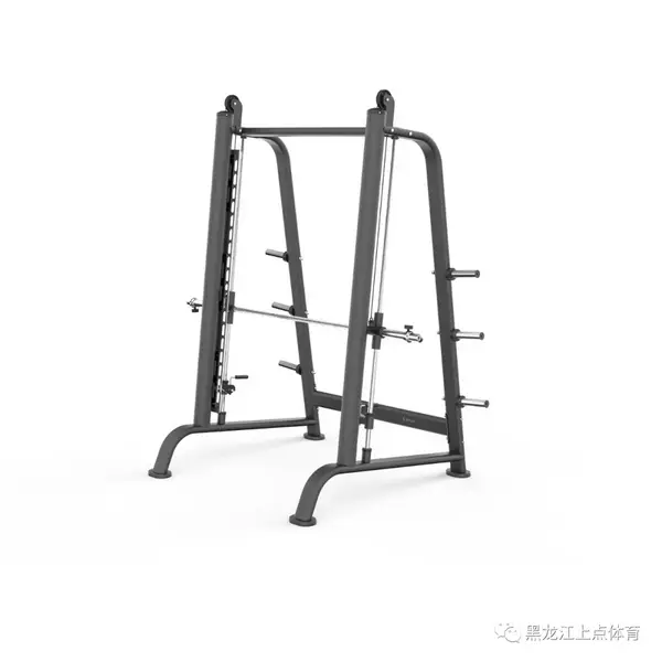 舒華體育出品 【莫旗私家健身房 】安裝完畢