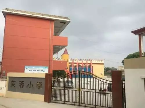 奮進十年，九江教育昂首步入新樣態